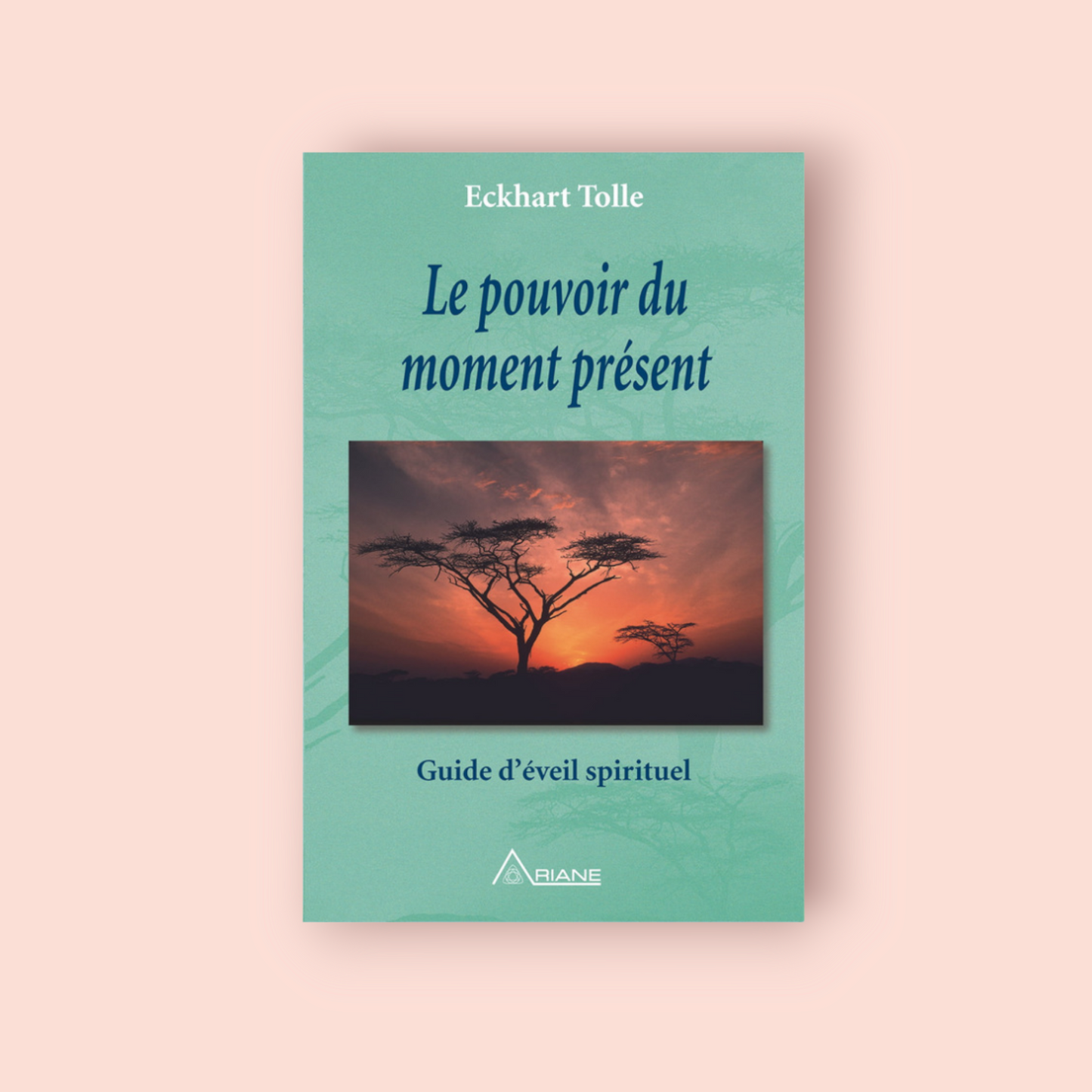 Le Pouvoir du moment présent